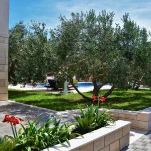 Pool&Garden-(4)
