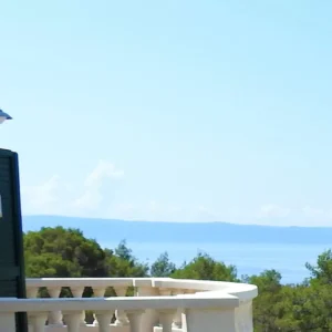 ccc-(26)-terrasse